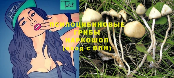 крисы Богданович