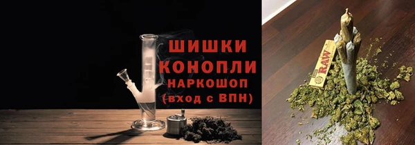 mdpv Богородск