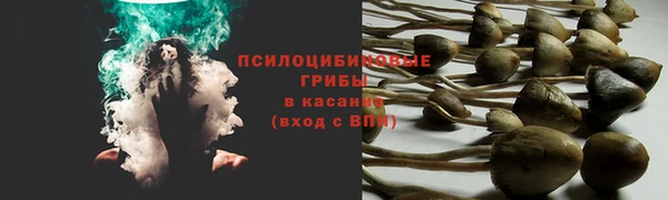 mdpv Богородск