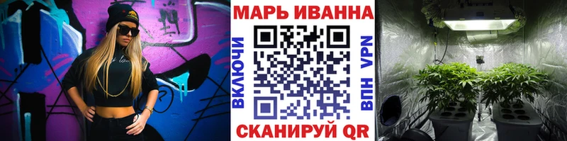 где можно купить наркотик  Торопец  Марихуана сатива 